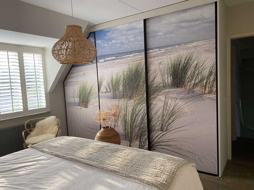 Spiaggia con piante di duna