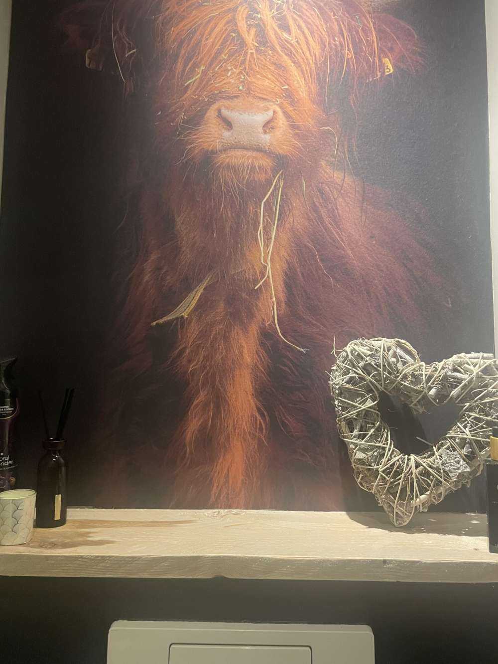 Ritratto scozzese Highlander