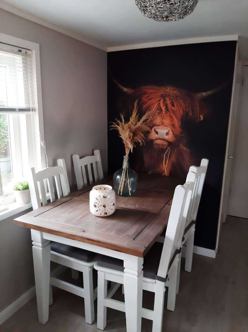 Ritratto scozzese Highlander