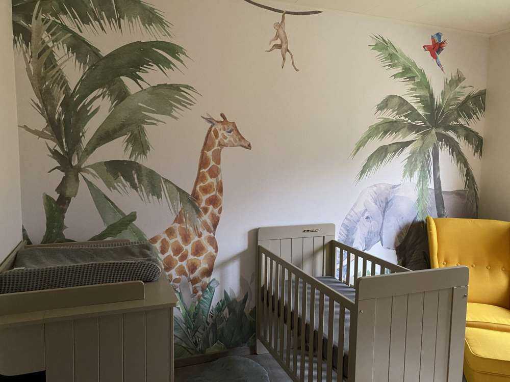 Animali giungla colorati