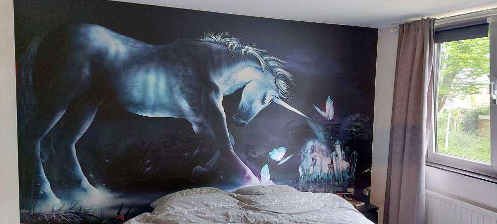 Giocare all'unicorno