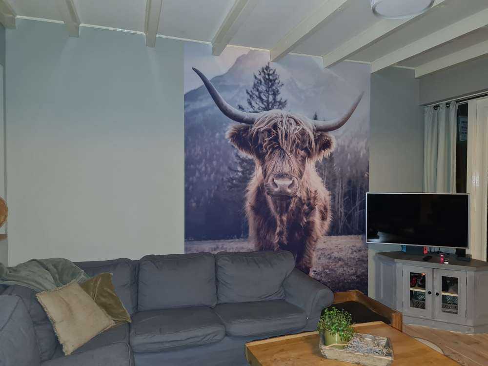 Highlander scozzese vicino alla foresta