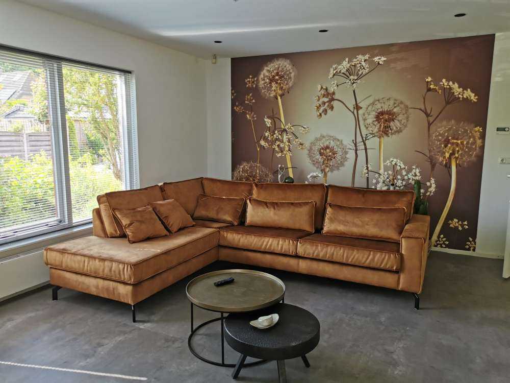 Fantasia del prato marrone