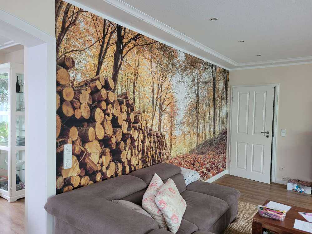 Tronchi d'albero in una foresta autunnale