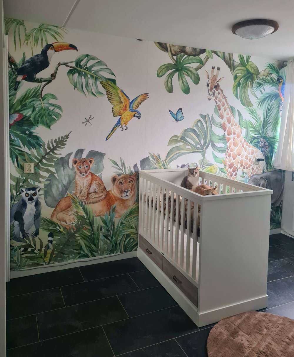 Animali selvaggi della giungla