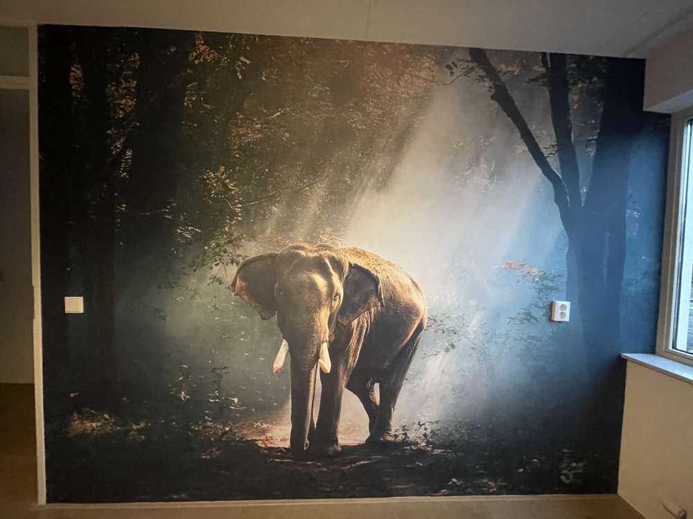 Elefante in una giungla