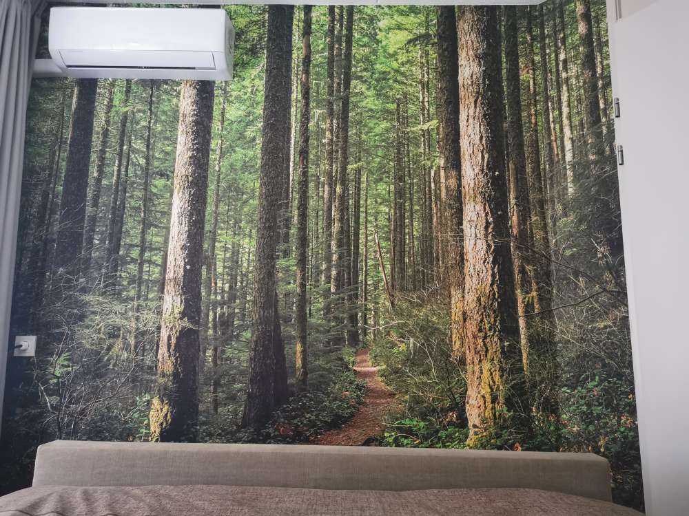 Sentiero nella foresta