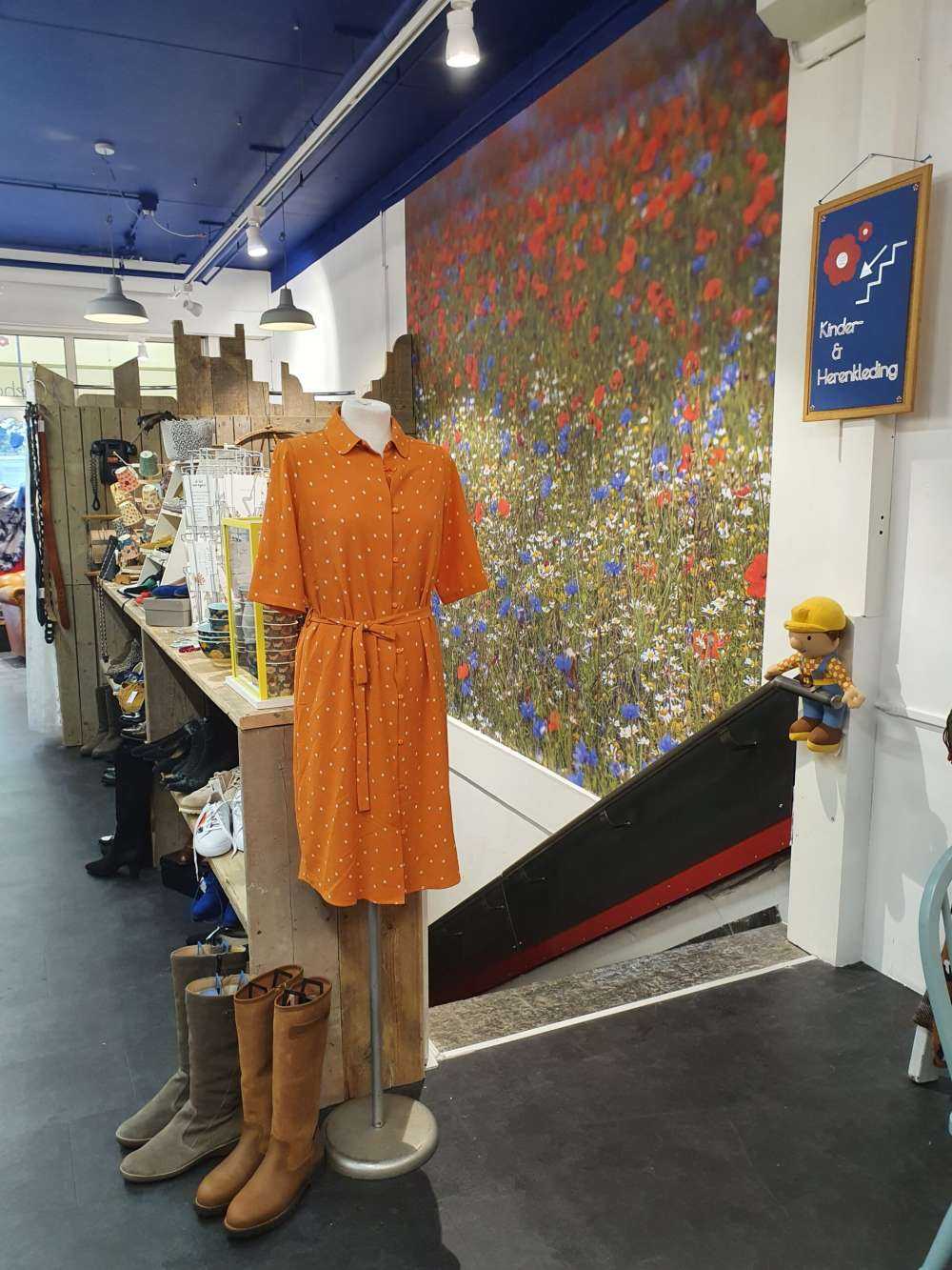 Campo pieno di papaveri