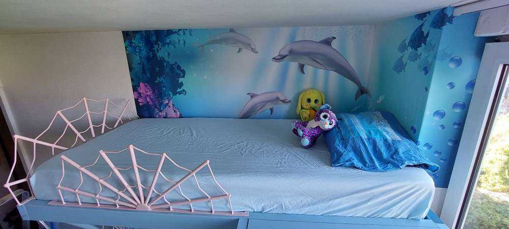 Mondo sommerso con i delfini