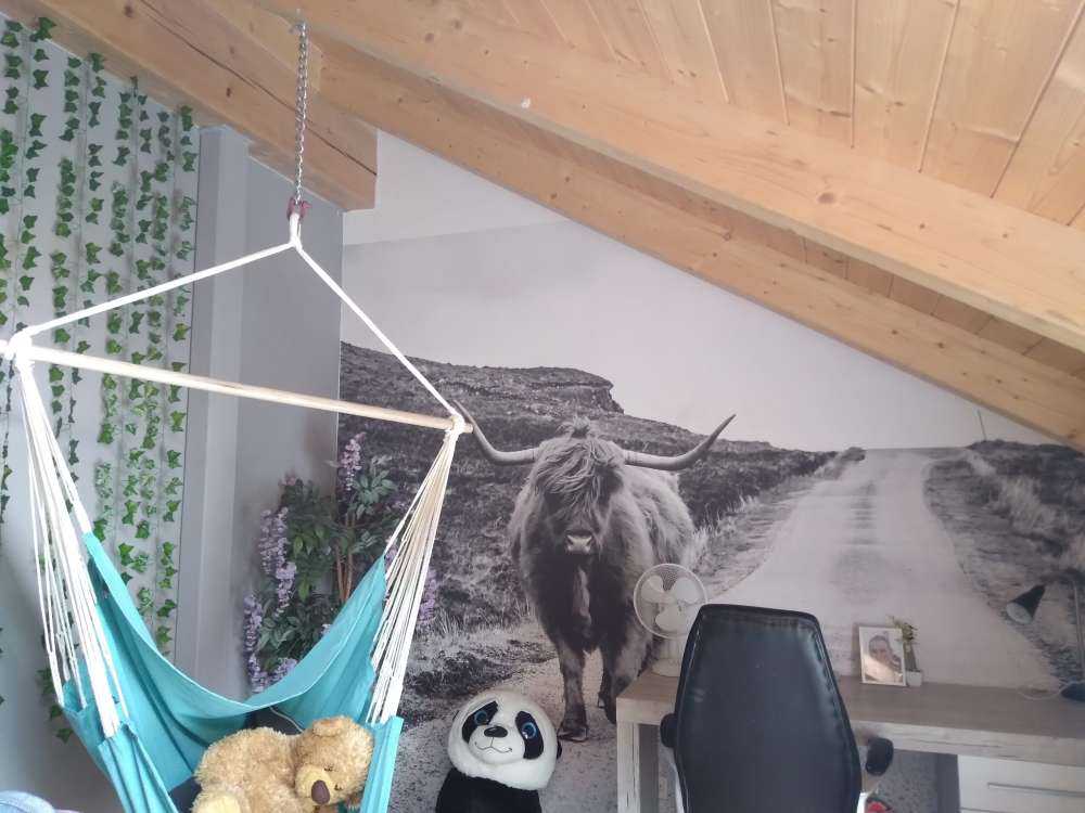 Highlander scozzese su una strada