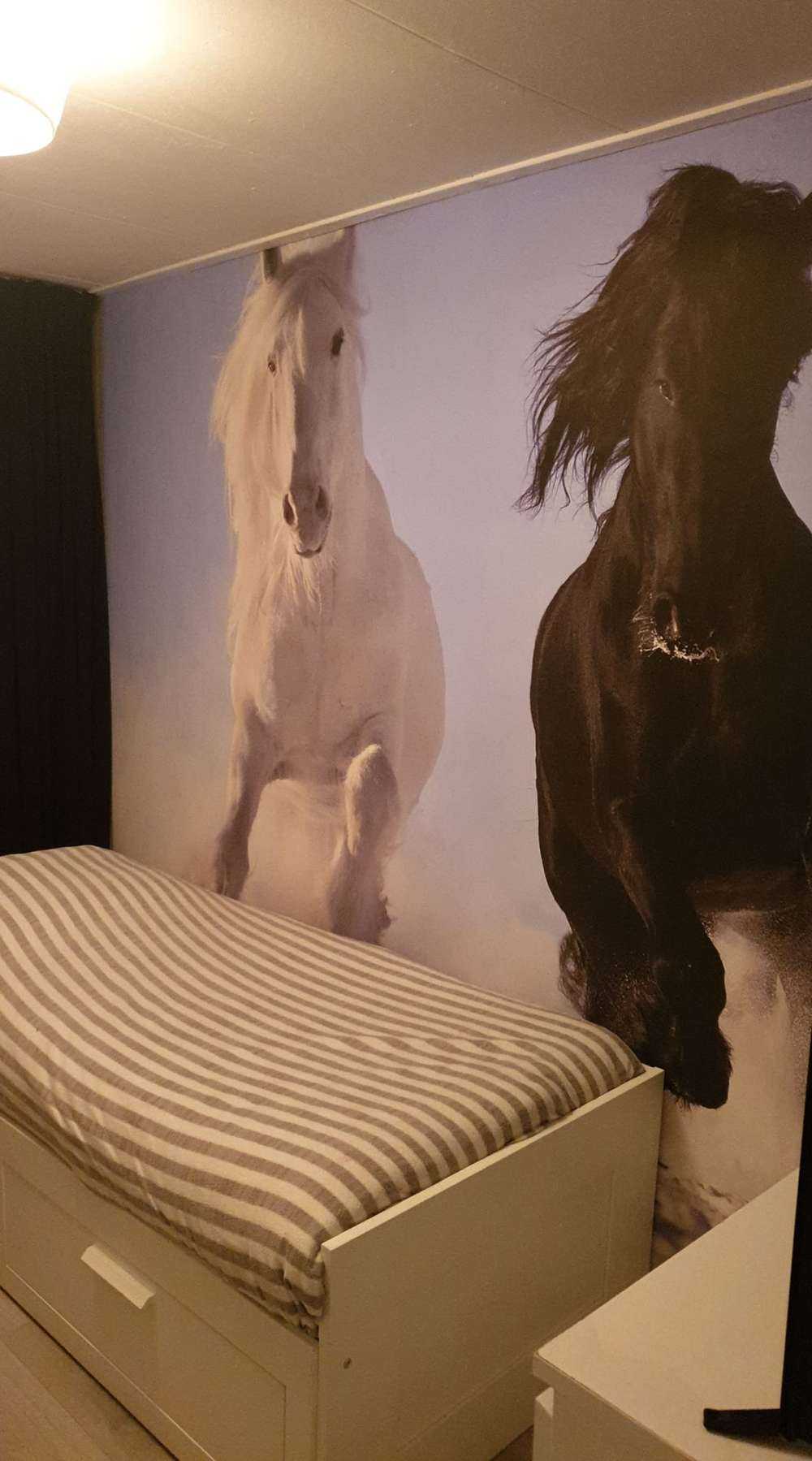 Bianco e cavallo nero