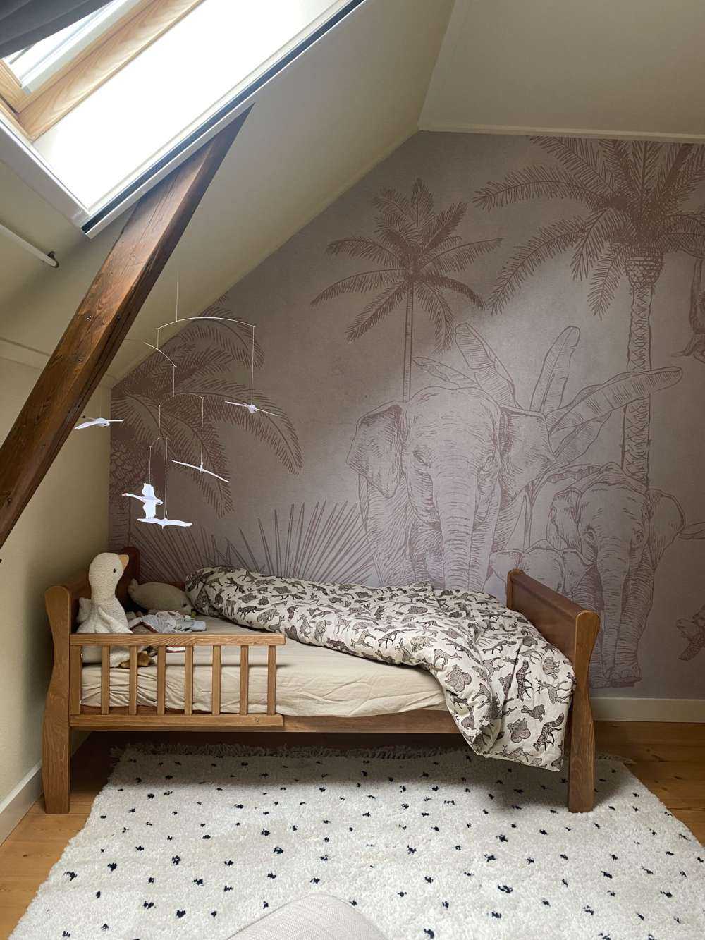 Elefanti grigio scuro