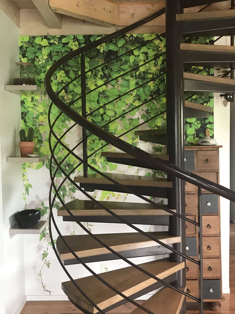 Ramas verdes colgantes