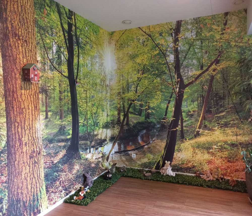 Foresta con un ruscello