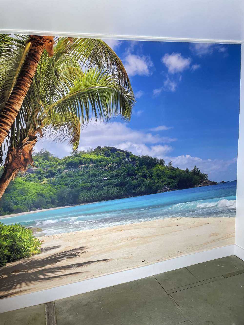 Bella spiaggia con palme