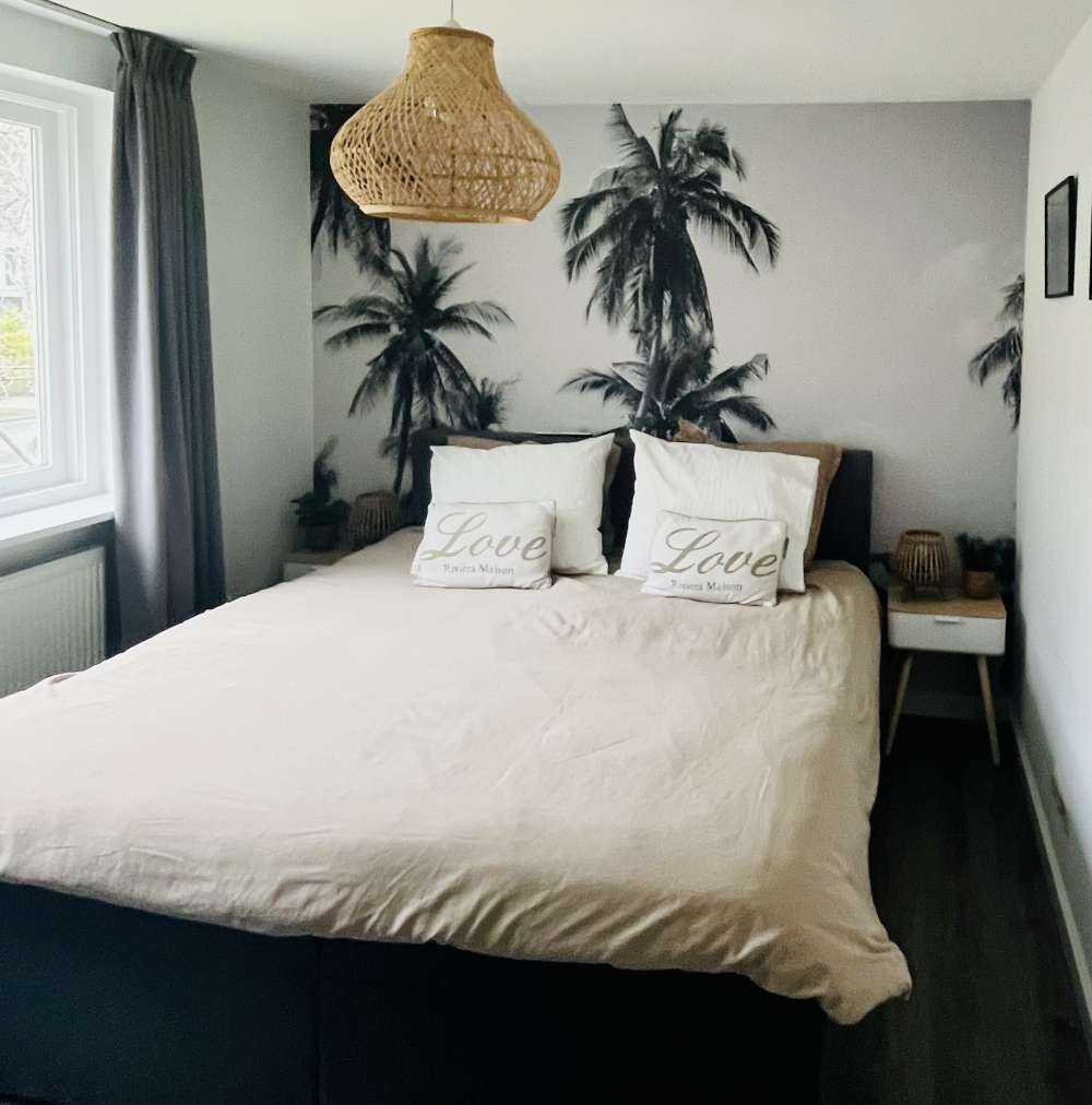 Palme in bianco e nero