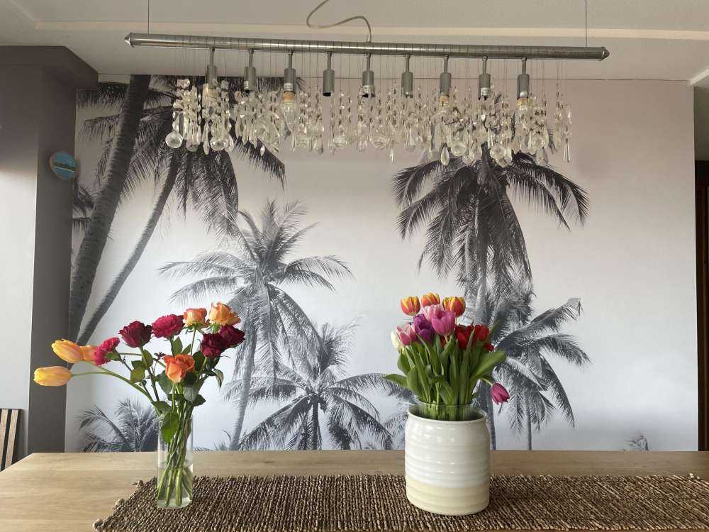 Palme in bianco e nero