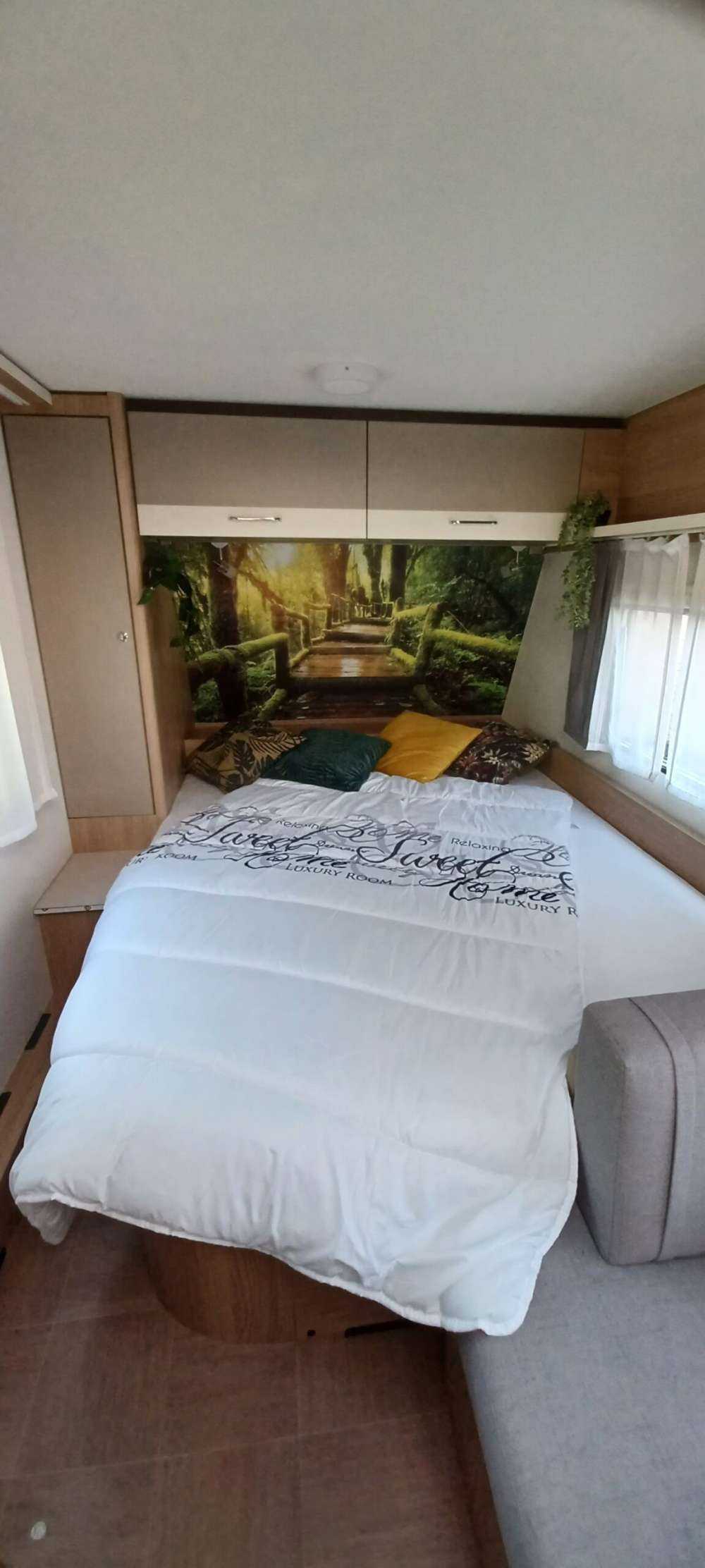 Grande scala della giungla