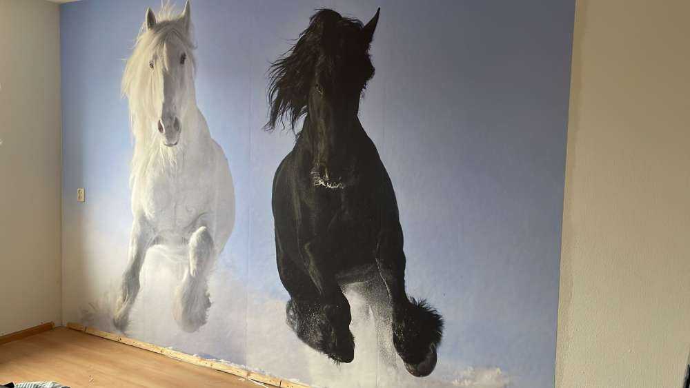 Bianco e cavallo nero