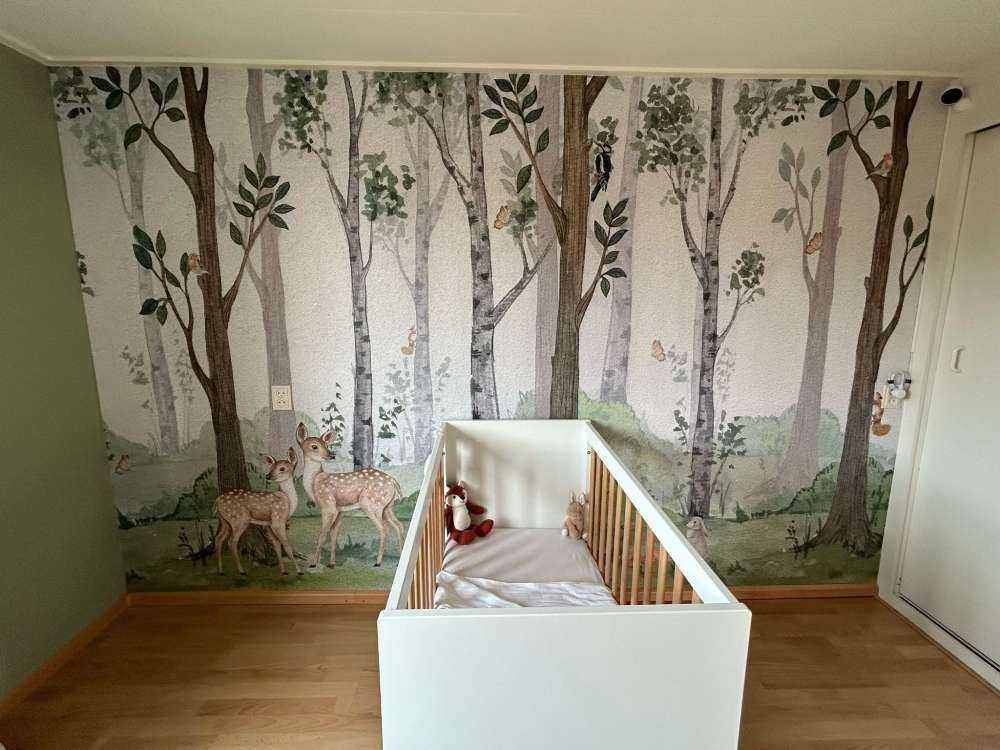 Animali nella natura