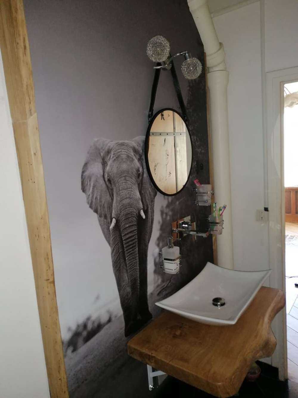 Elefante al tramonto