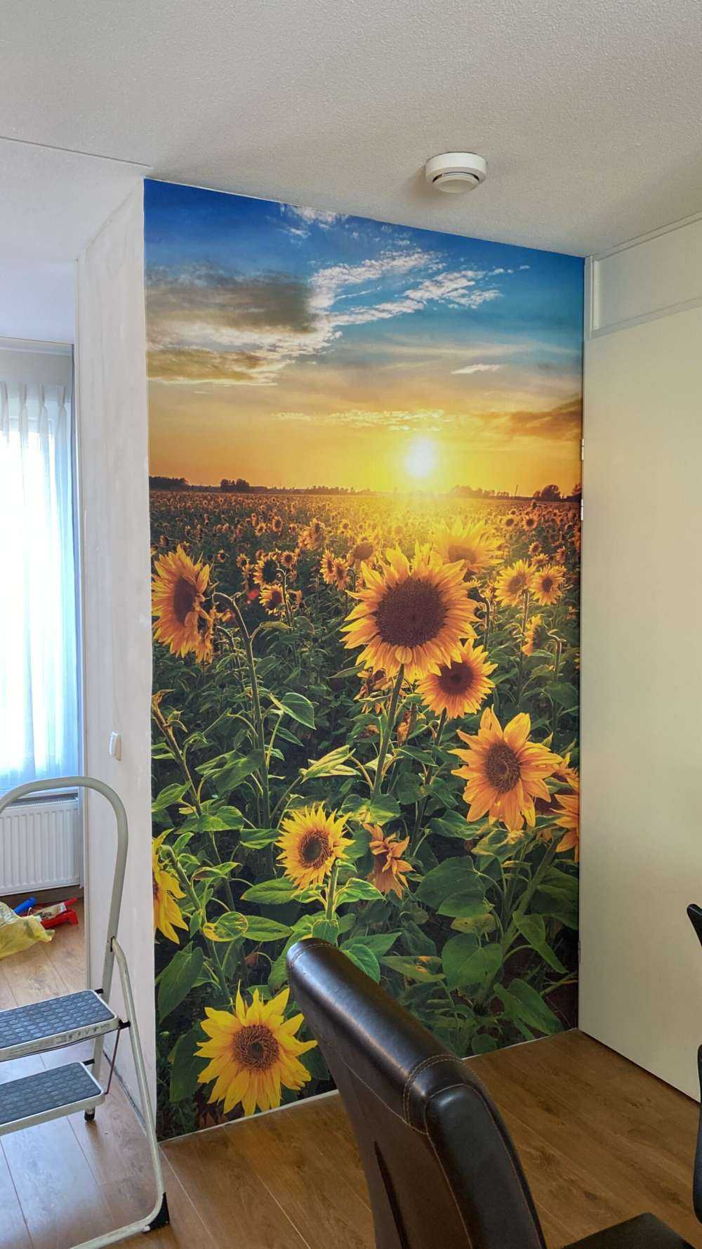 Bellissimo campo di girasoli