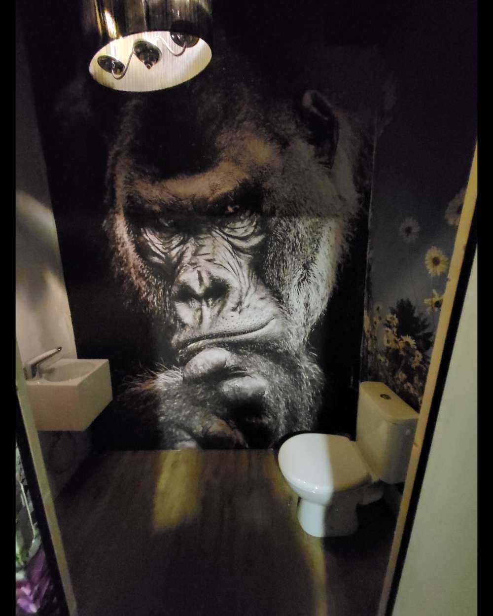 Immagine ravvicinata di un gorilla