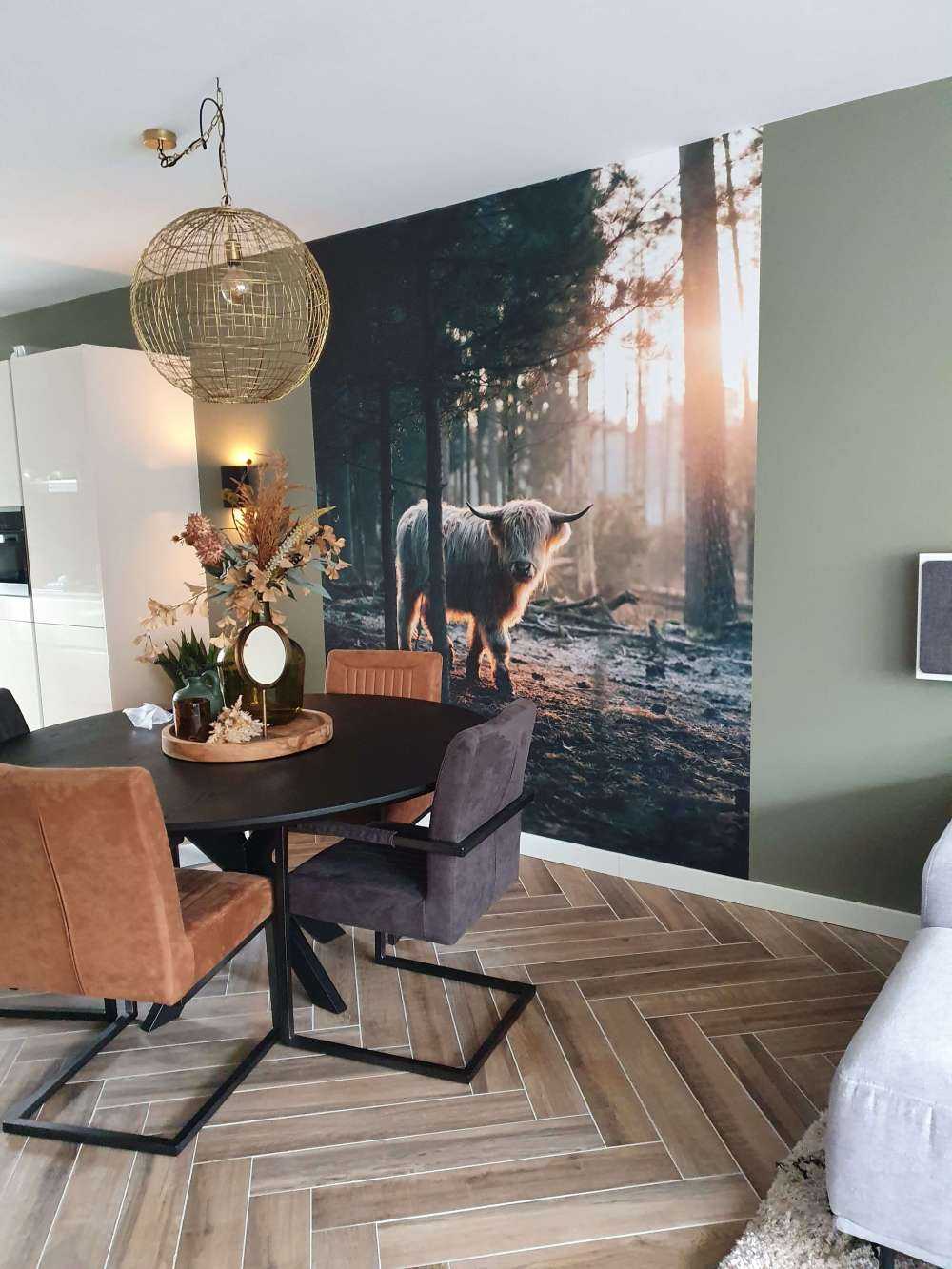 Highlander scozzese bianco