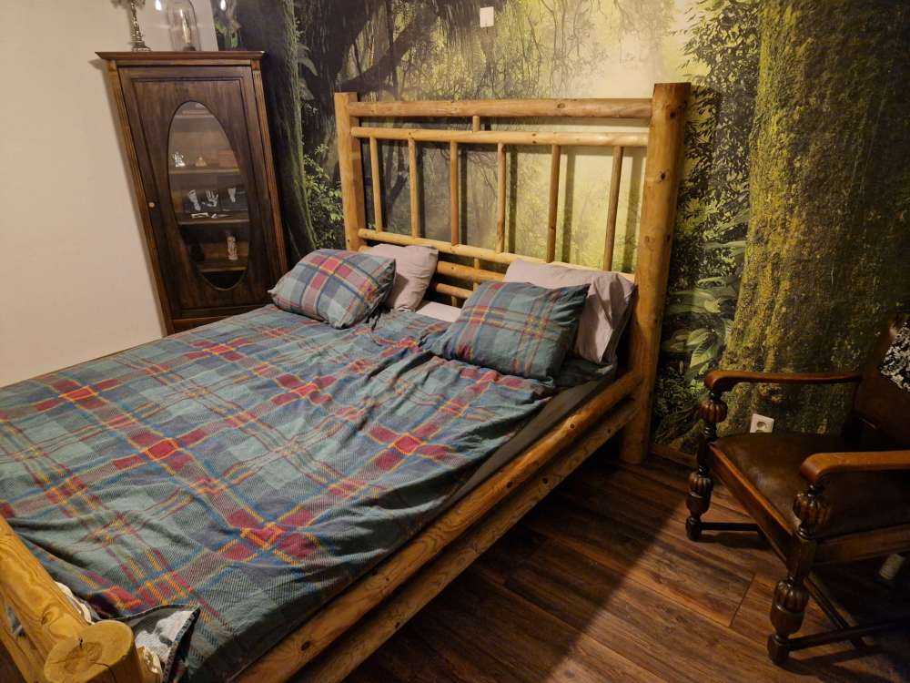 Giungla con raggi di sole