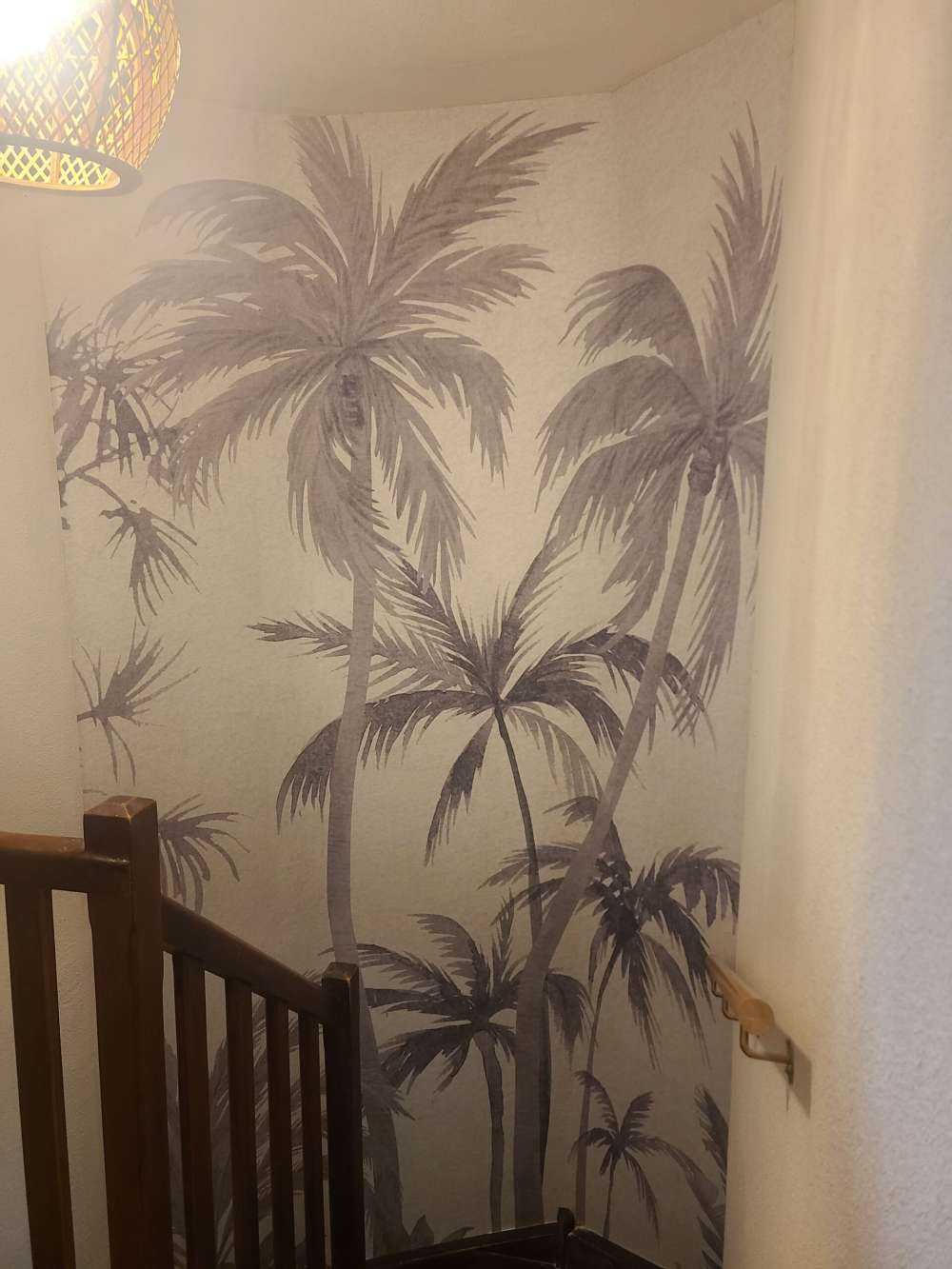 Alberi e piante tropicali