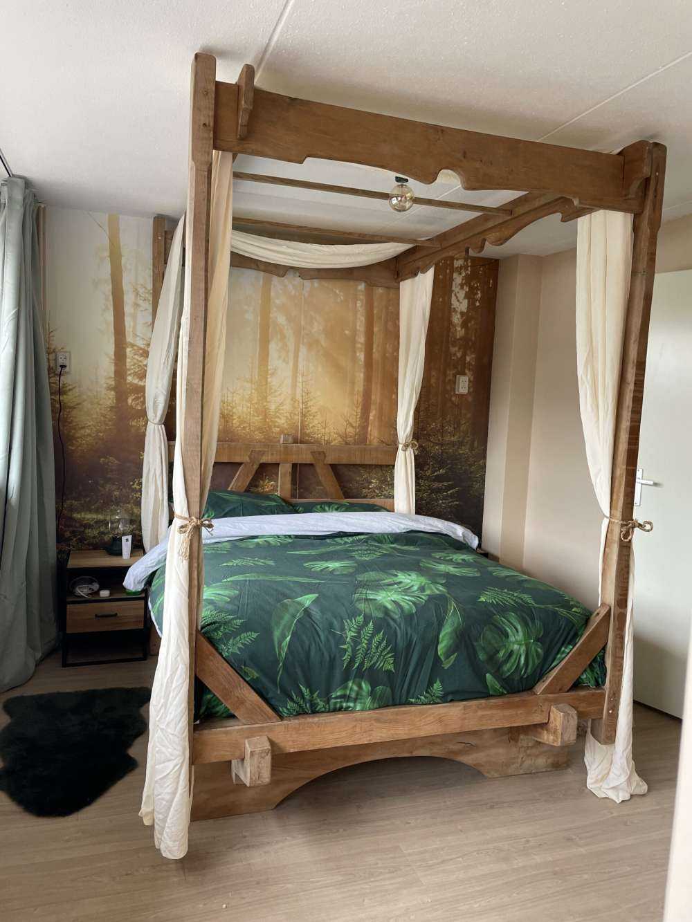 Raggi di sole attraverso la foresta