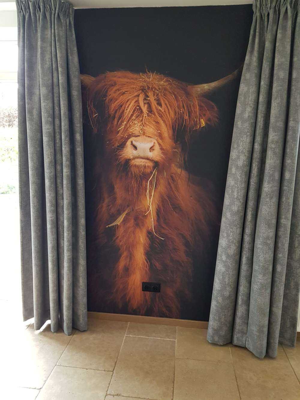 Ritratto scozzese Highlander