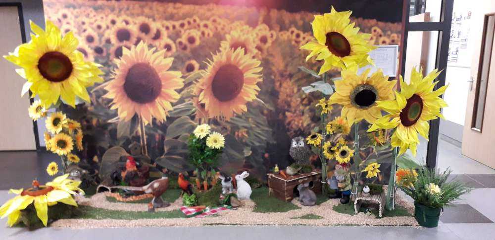 Fattoria dei girasoli