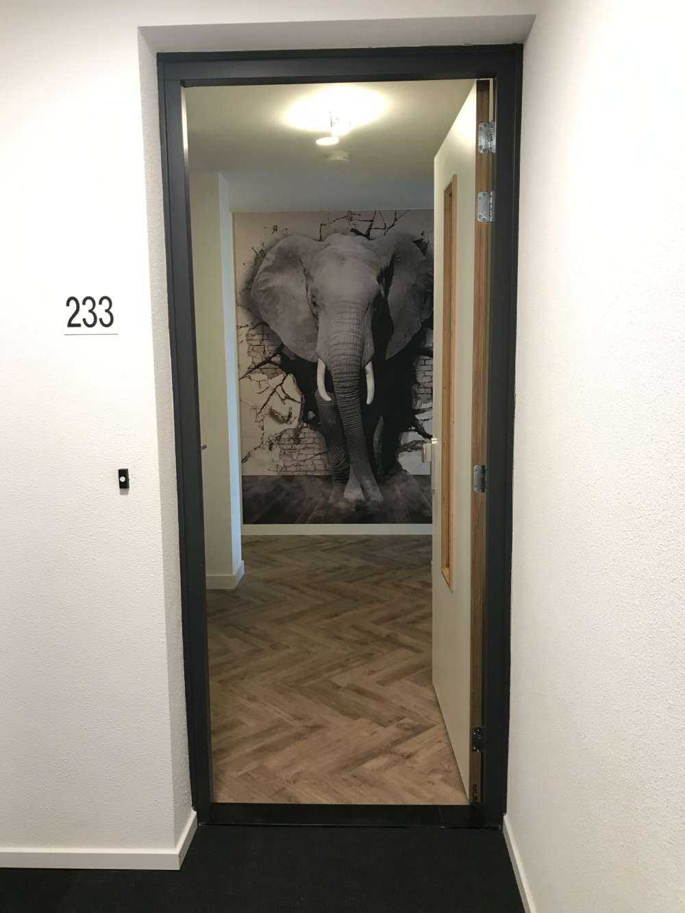 Elefante 3D dal muro