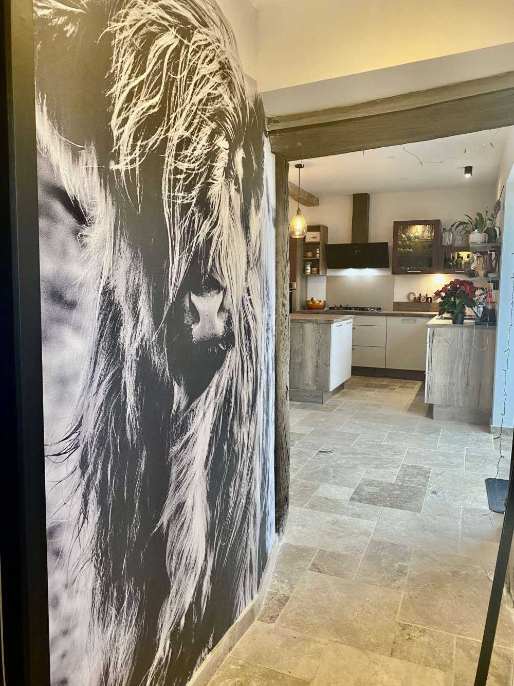 Highlander scozzese in bianco e nero