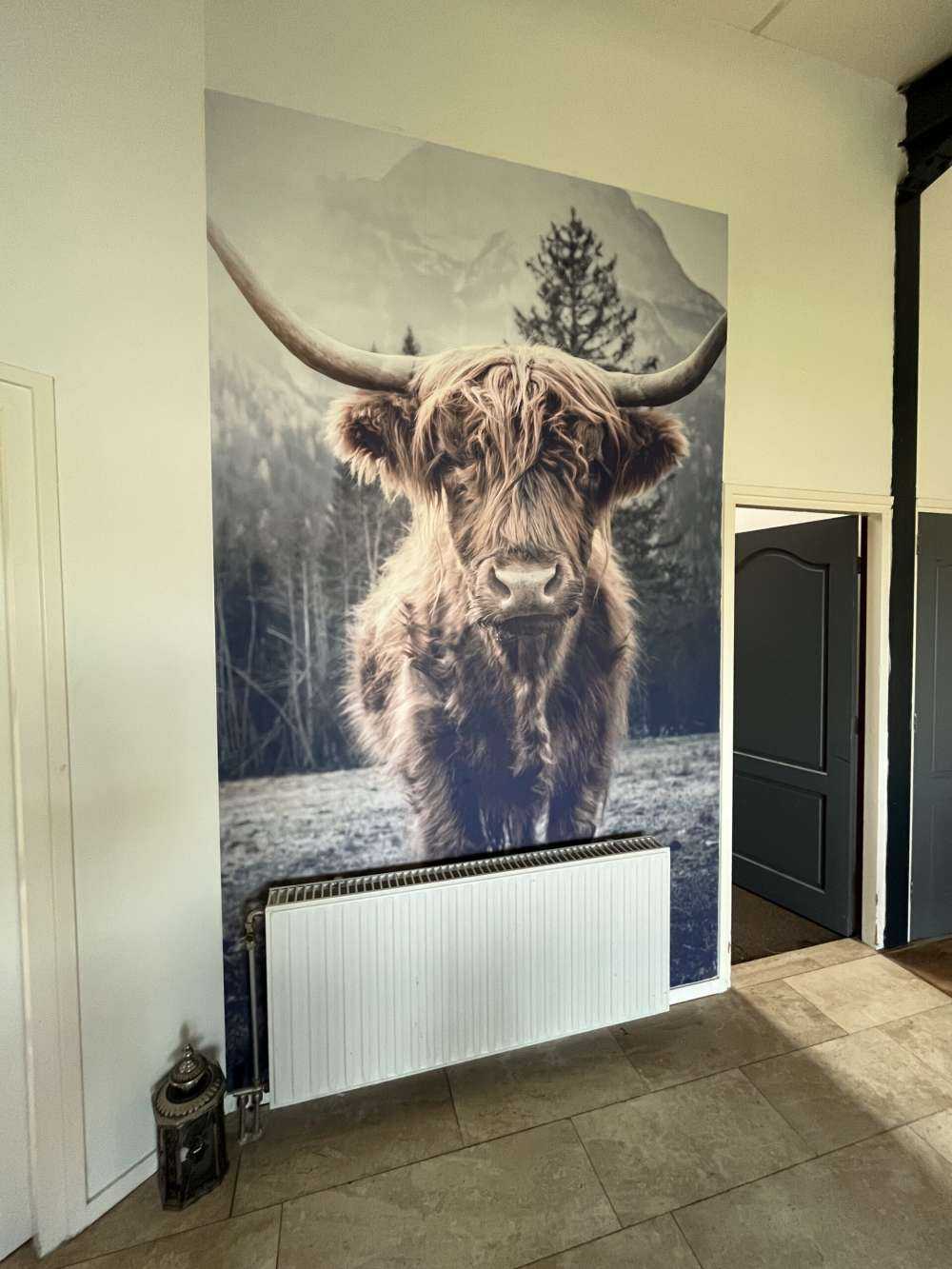 Highlander scozzese vicino alla foresta