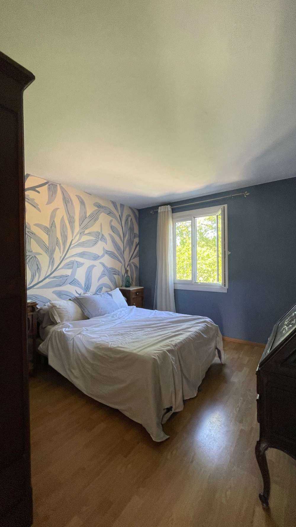 Piante che corrono in salita