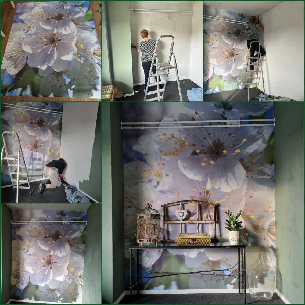 Fiori bianchi ravvicinati