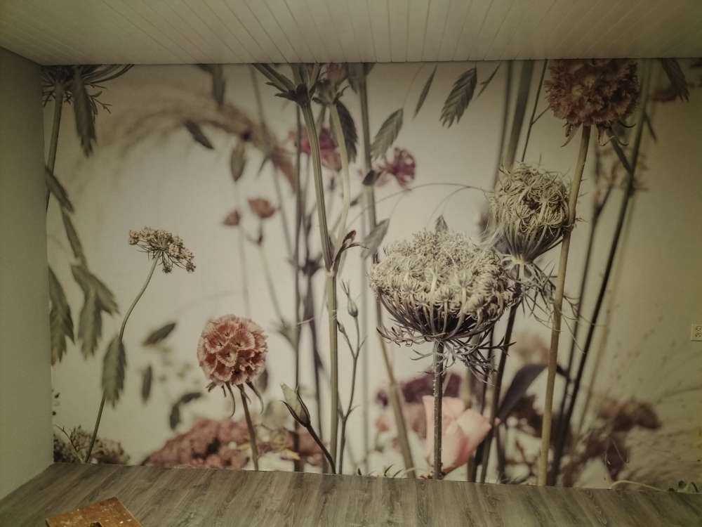 Fiori in primo piano