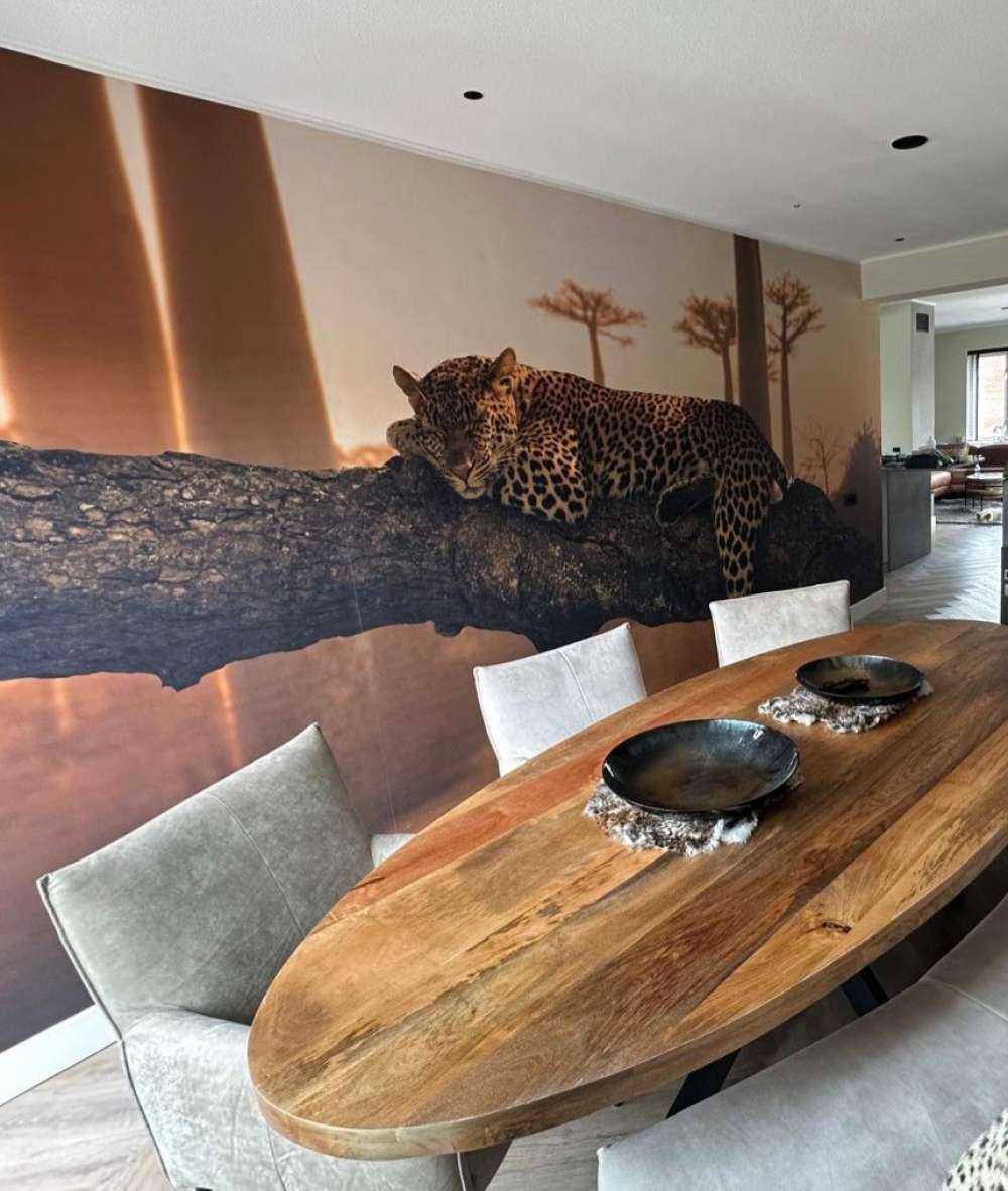 Leopardo addormentato