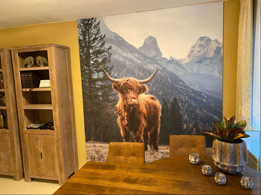 Highlander scozzese tra gli alberi