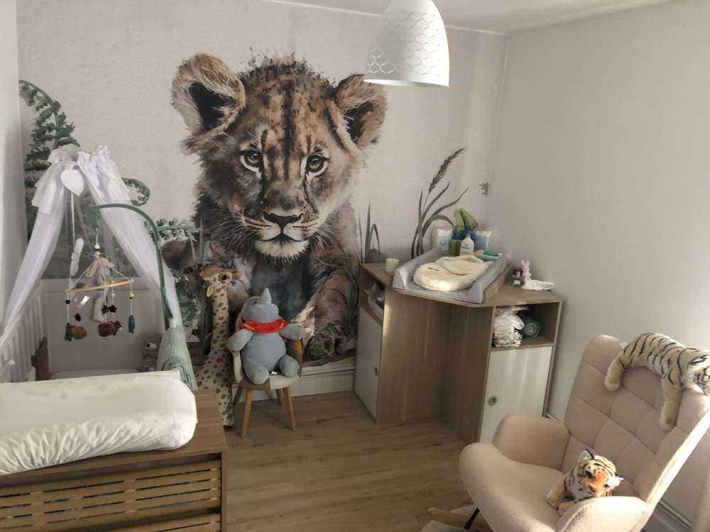 Giovane leone nella giungla