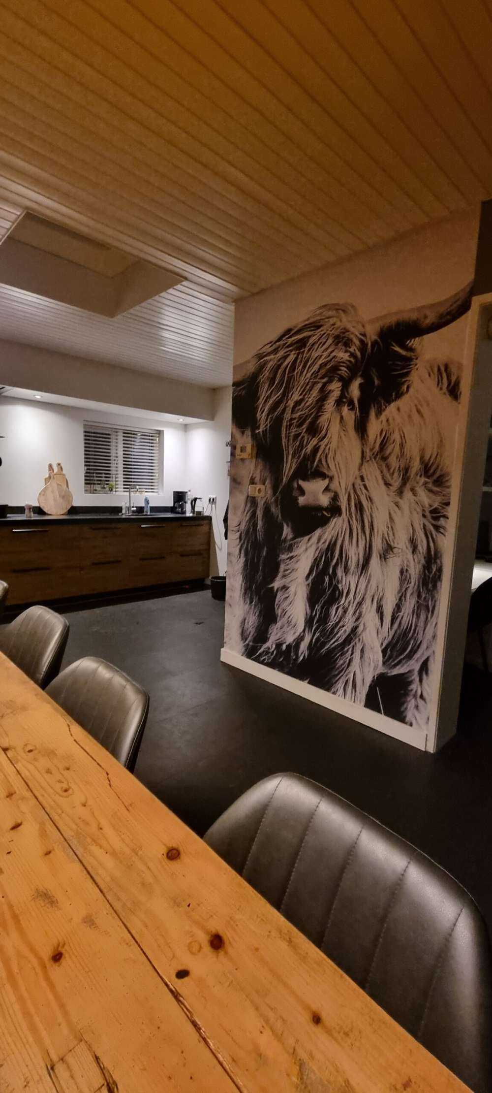 Highlander scozzese in bianco e nero