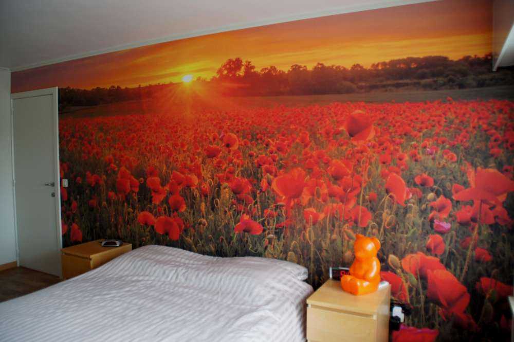 Campo pieno di papaveri