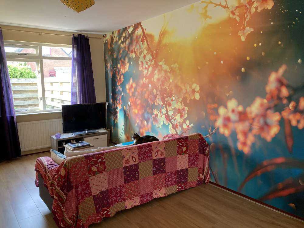 Fioritura in primavera