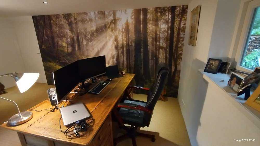 Foresta autunnale con sole