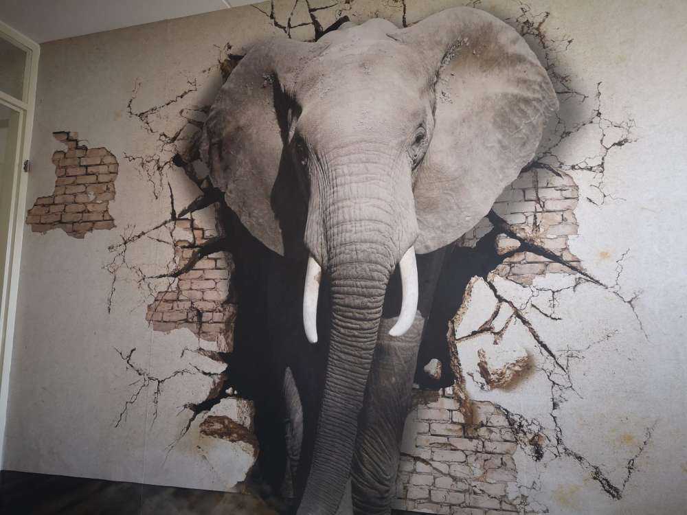 Elefante 3D dal muro