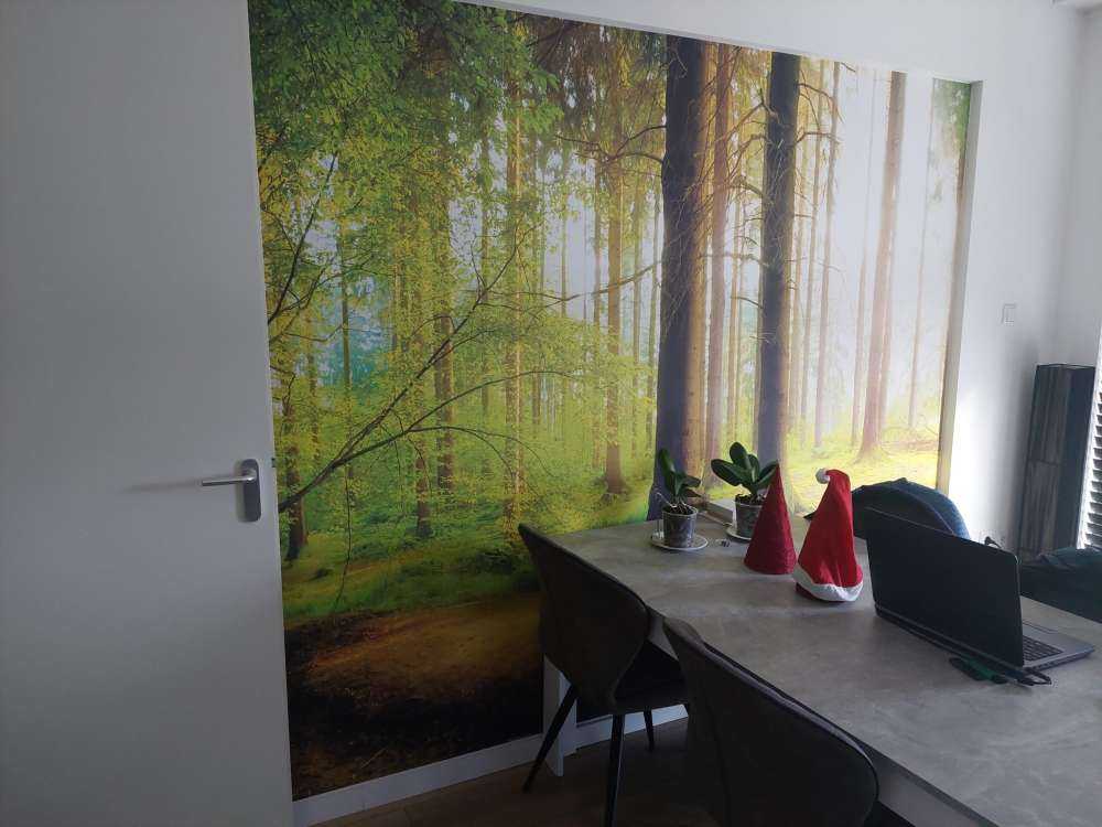 Fresca foresta verde