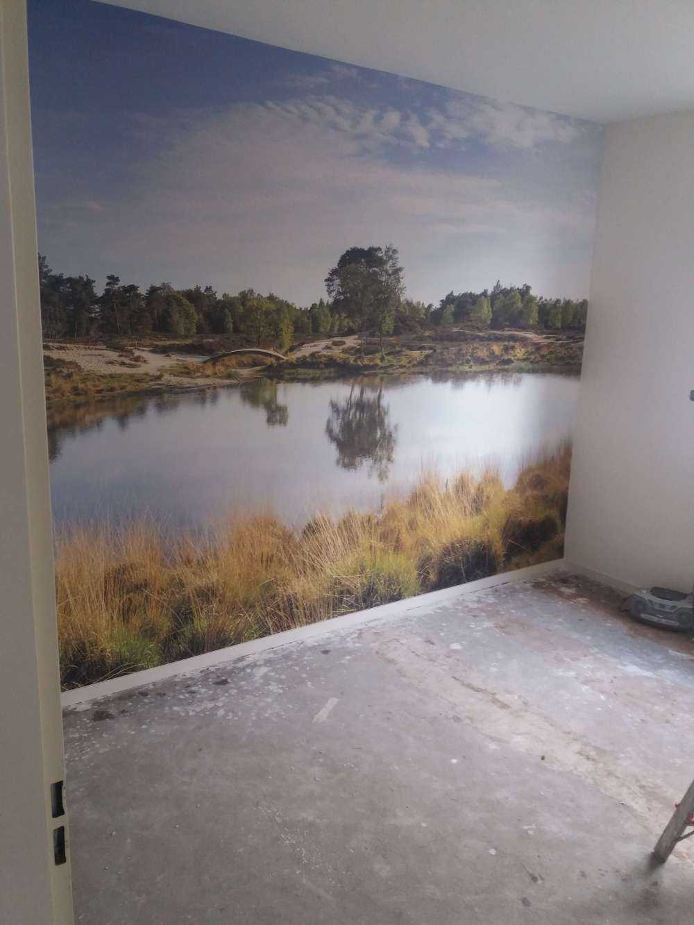 Un piccolo lago forestale nella zona brughiera 