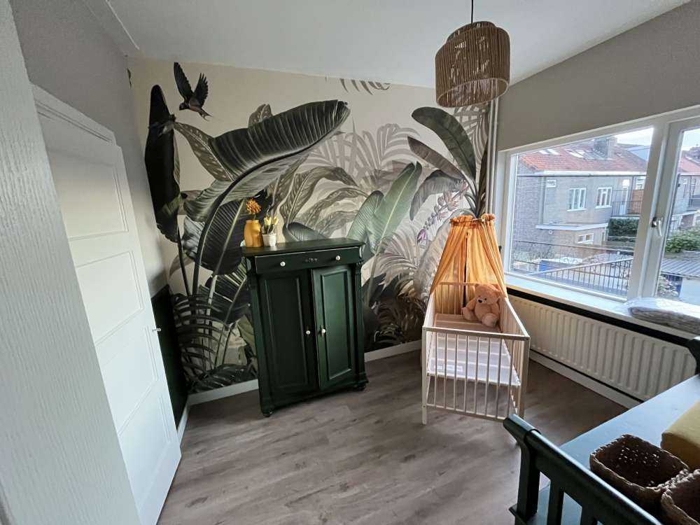 Piante nella giungla